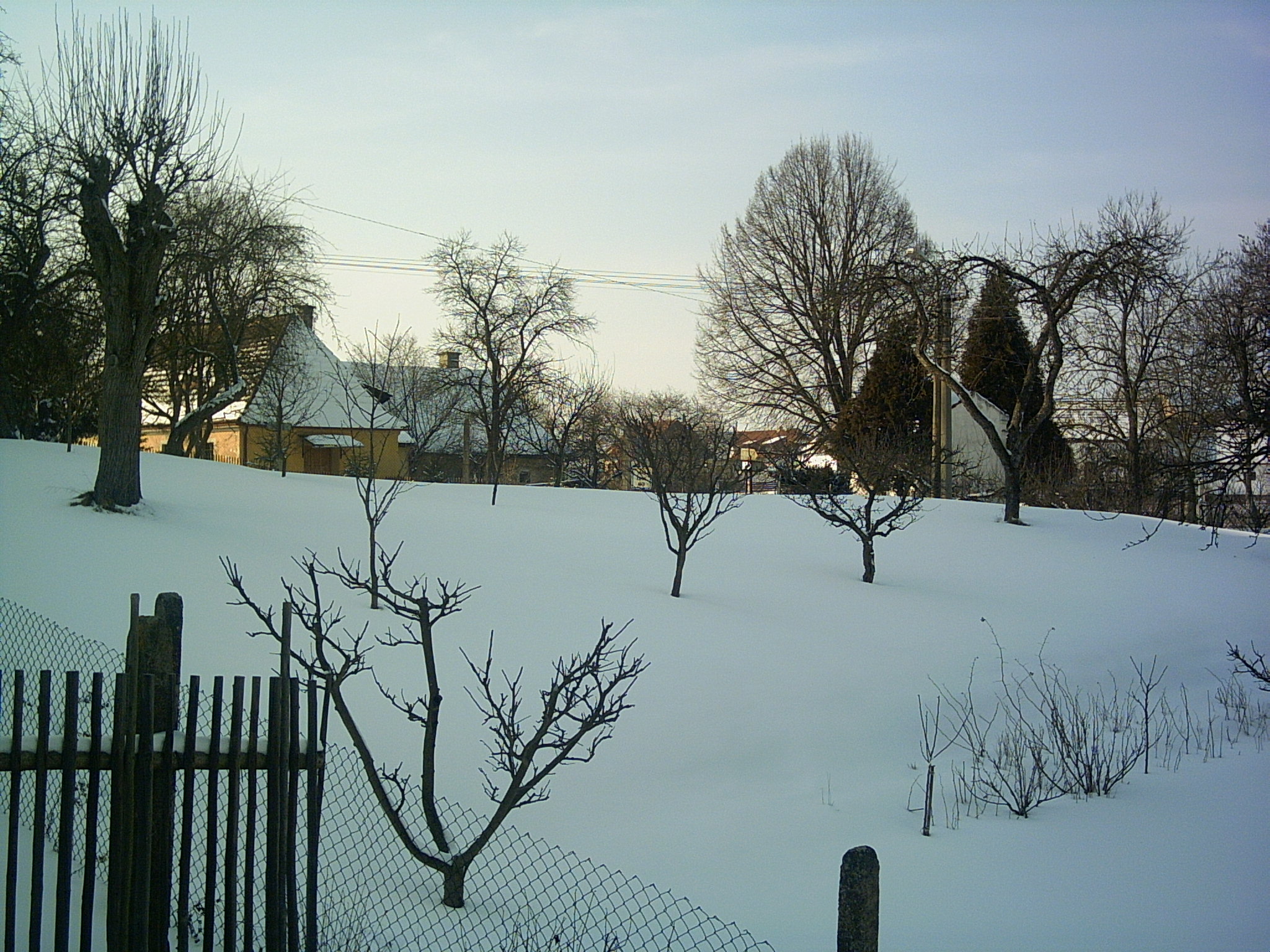 PICT0096.JPG