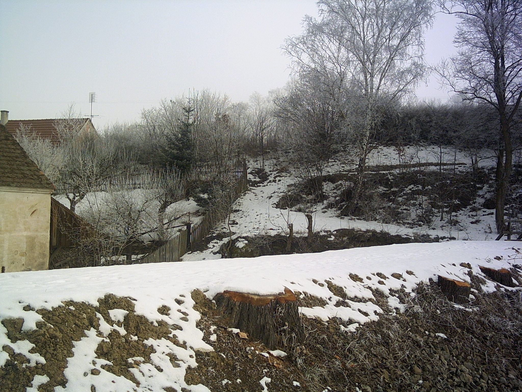 PICT0079.JPG